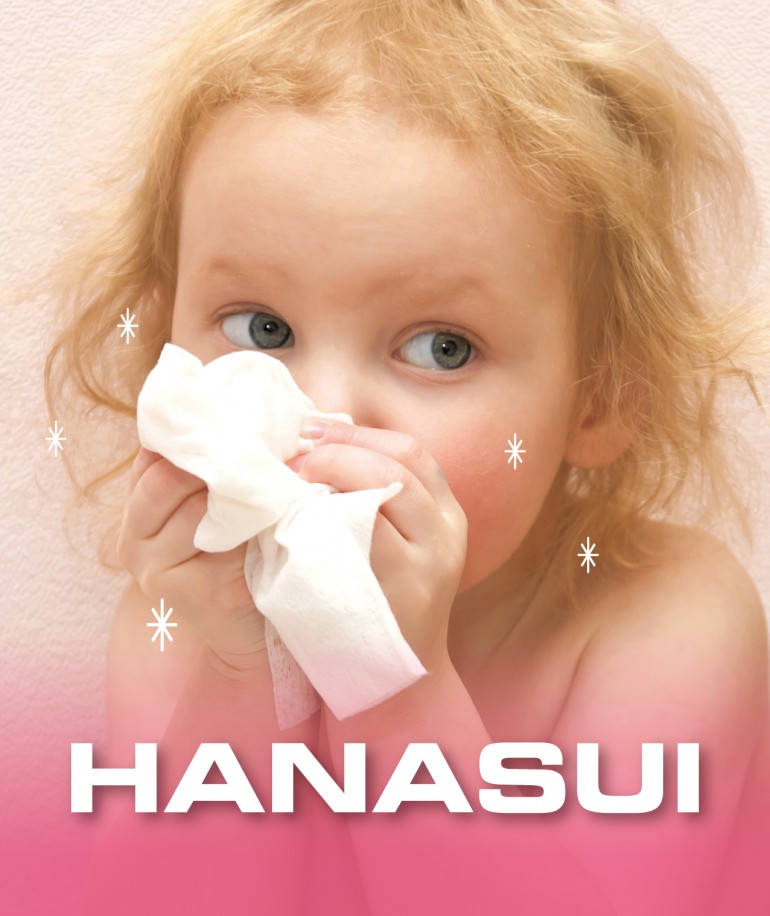 HANASUI：SPツール