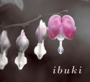 ibuki 〜いぶき〜